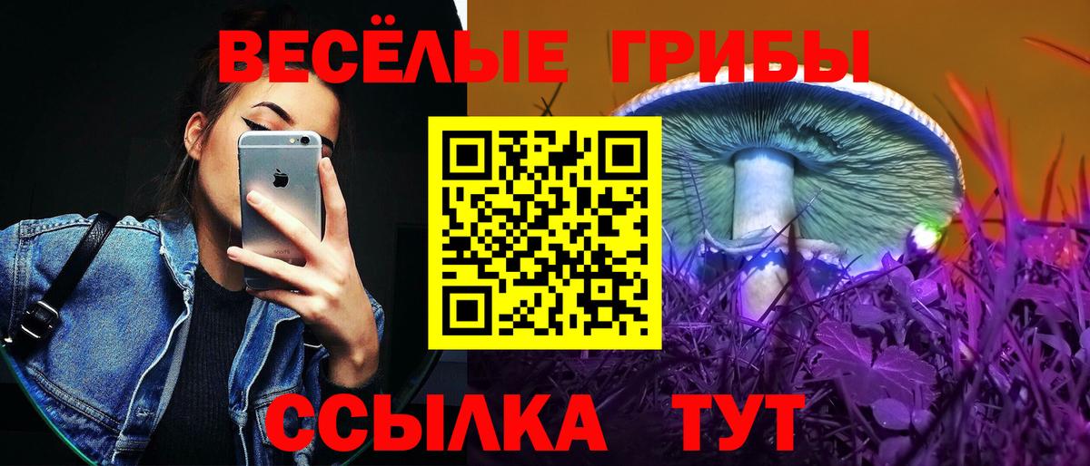 Галлюциногенные грибы MAGIC MUSHROOMS  что такое наркотик  Фурманов  Псилоцибиновые грибы мицелий  Вход с VPN 
